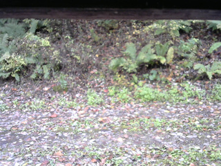 長野県菅平高原 ゆたか山荘 南側 2025/10/21 08:45