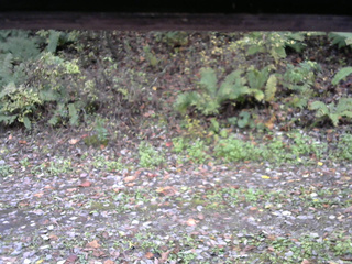 長野県菅平高原 ゆたか山荘 南側 2025/10/21 09:00