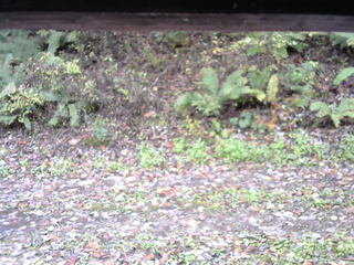 長野県菅平高原 ゆたか山荘 南側 2025/10/21 09:15