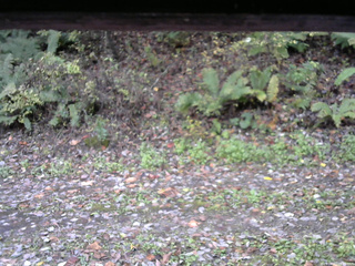 長野県菅平高原 ゆたか山荘 南側 2025/10/21 09:30