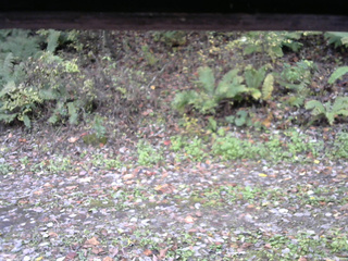 長野県菅平高原 ゆたか山荘 南側 2025/10/21 10:00