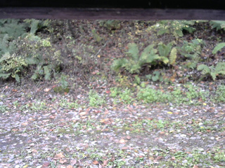 長野県菅平高原 ゆたか山荘 南側 2025/10/21 10:30