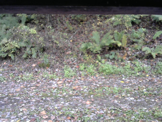 長野県菅平高原 ゆたか山荘 南側 2025/10/21 11:00