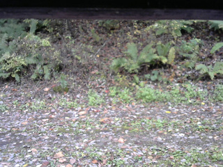 長野県菅平高原 ゆたか山荘 南側 2025/10/21 11:15