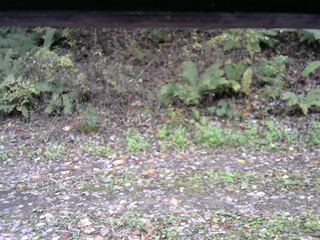 長野県菅平高原 ゆたか山荘 南側 2025/10/21 11:30