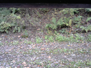 長野県菅平高原 ゆたか山荘 南側 2025/10/21 11:45