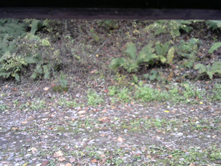 長野県菅平高原 ゆたか山荘 南側 2025/10/21 12:00