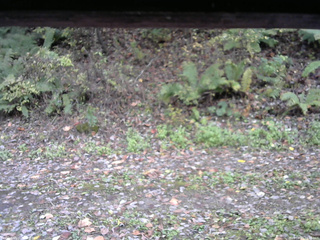 長野県菅平高原 ゆたか山荘 南側 2025/10/21 12:30