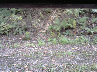 長野県菅平高原 ゆたか山荘 南側 2025/10/21 12:45