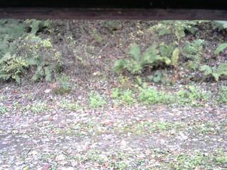 長野県菅平高原 ゆたか山荘 南側 2025/10/21 13:15