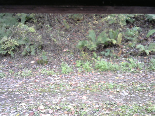 長野県菅平高原 ゆたか山荘 南側 2025/10/21 13:30