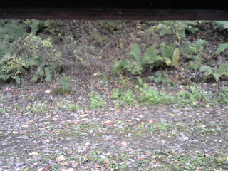 長野県菅平高原 ゆたか山荘 南側 2025/10/21 13:45