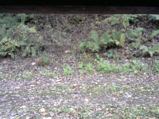 長野県菅平高原 ゆたか山荘 南側 2025/10/21 14:00