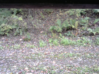 長野県菅平高原 ゆたか山荘 南側 2025/10/21 14:15