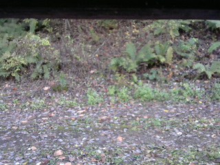 長野県菅平高原 ゆたか山荘 南側 2025/10/21 14:30