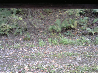 長野県菅平高原 ゆたか山荘 南側 2025/10/21 14:45