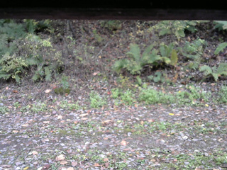 長野県菅平高原 ゆたか山荘 南側 2025/10/21 15:00