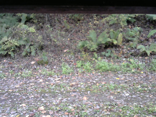 長野県菅平高原 ゆたか山荘 南側 2025/10/21 15:15