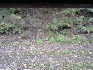 長野県菅平高原 ゆたか山荘 南側 2025/10/21 15:30