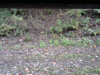 長野県菅平高原 ゆたか山荘 南側 2025/10/21 15:45