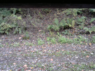 長野県菅平高原 ゆたか山荘 南側 2025/10/21 16:00