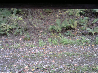 長野県菅平高原 ゆたか山荘 南側 2025/10/21 16:15