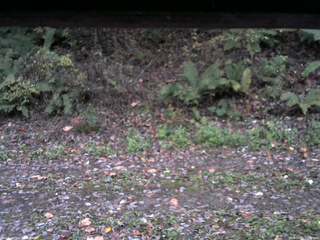 長野県菅平高原 ゆたか山荘 南側 2025/10/21 17:00