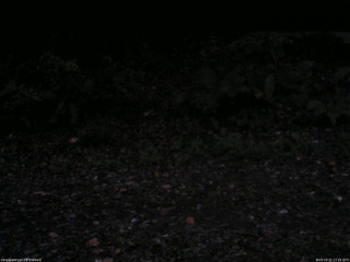 長野県菅平高原 ゆたか山荘 南側 2025/10/21 17:15