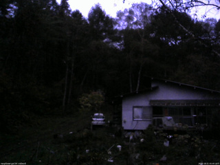 長野県菅平高原 ゆたか山荘 西側(坂上) 2025/10/21 05:45