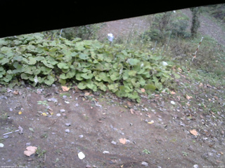 長野県菅平高原 ゆたか山荘 駐車場 2025/10/21 12:30