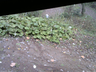 長野県菅平高原 ゆたか山荘 駐車場 2025/10/21 13:30