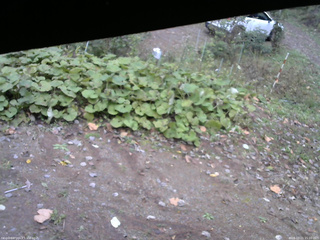 長野県菅平高原 ゆたか山荘 駐車場 2025/10/21 15:00