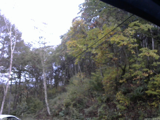 長野県菅平高原 ゆたか山荘 東側上空 2025/10/21 16:45