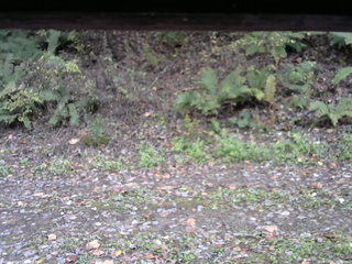 長野県菅平高原 ゆたか山荘 南側 2025/10/22 08:00