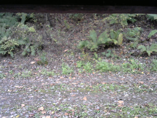 長野県菅平高原 ゆたか山荘 南側 2025/10/22 14:15