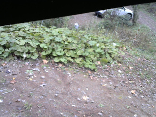 長野県菅平高原 ゆたか山荘 駐車場 2025/10/22 07:45