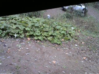 長野県菅平高原 ゆたか山荘 駐車場 2025/10/22 16:15