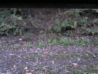 長野県菅平高原 ゆたか山荘 南側 2025/10/23 06:00