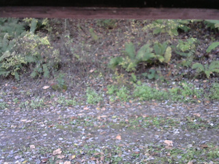 長野県菅平高原 ゆたか山荘 南側 2025/10/23 07:15