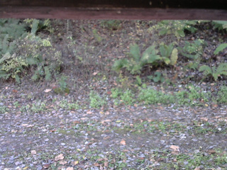 長野県菅平高原 ゆたか山荘 南側 2025/10/23 08:00