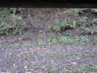 長野県菅平高原 ゆたか山荘 南側 2025/10/23 14:15