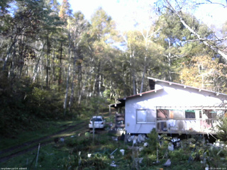 長野県菅平高原 ゆたか山荘 西側(坂上) 2025/10/23 08:45