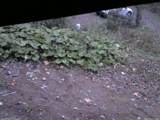 長野県菅平高原 ゆたか山荘 駐車場 2025/10/23 06:00