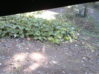 長野県菅平高原 ゆたか山荘 駐車場 2025/10/23 09:15