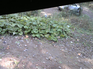 長野県菅平高原 ゆたか山荘 駐車場 2025/10/23 10:45