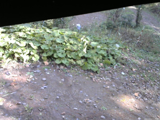 長野県菅平高原 ゆたか山荘 駐車場 2025/10/23 11:30