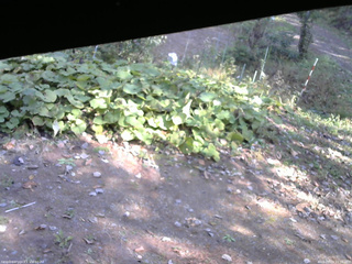 長野県菅平高原 ゆたか山荘 駐車場 2025/10/23 12:30