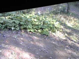 長野県菅平高原 ゆたか山荘 駐車場 2025/10/23 12:45