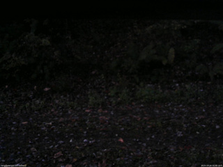 長野県菅平高原 ゆたか山荘 南側 2025/10/24 05:45