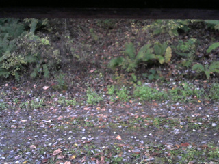 長野県菅平高原 ゆたか山荘 南側 2025/10/24 06:00